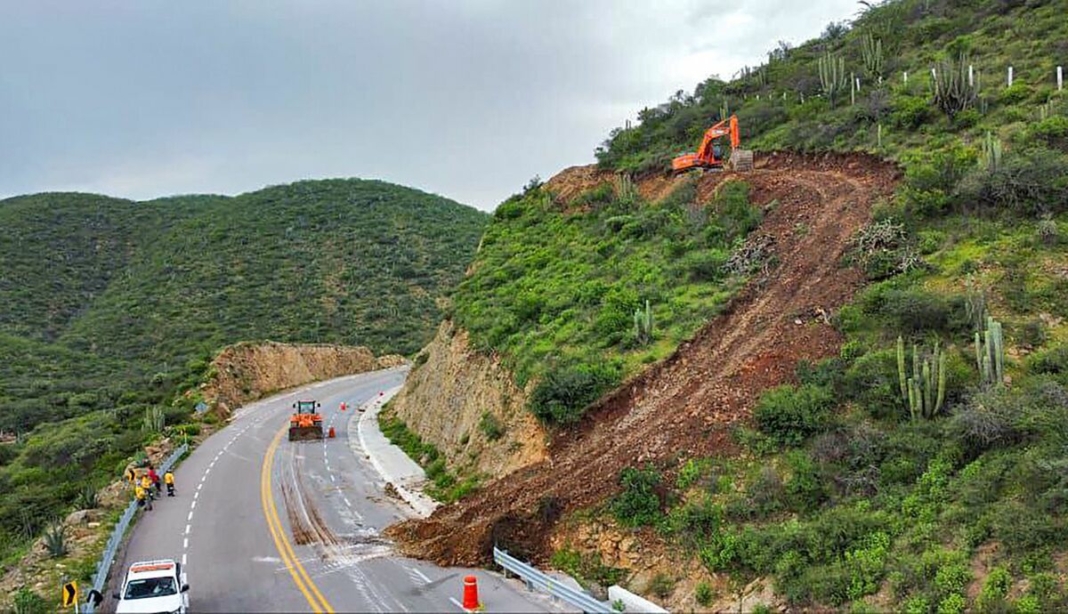 Borrador automático