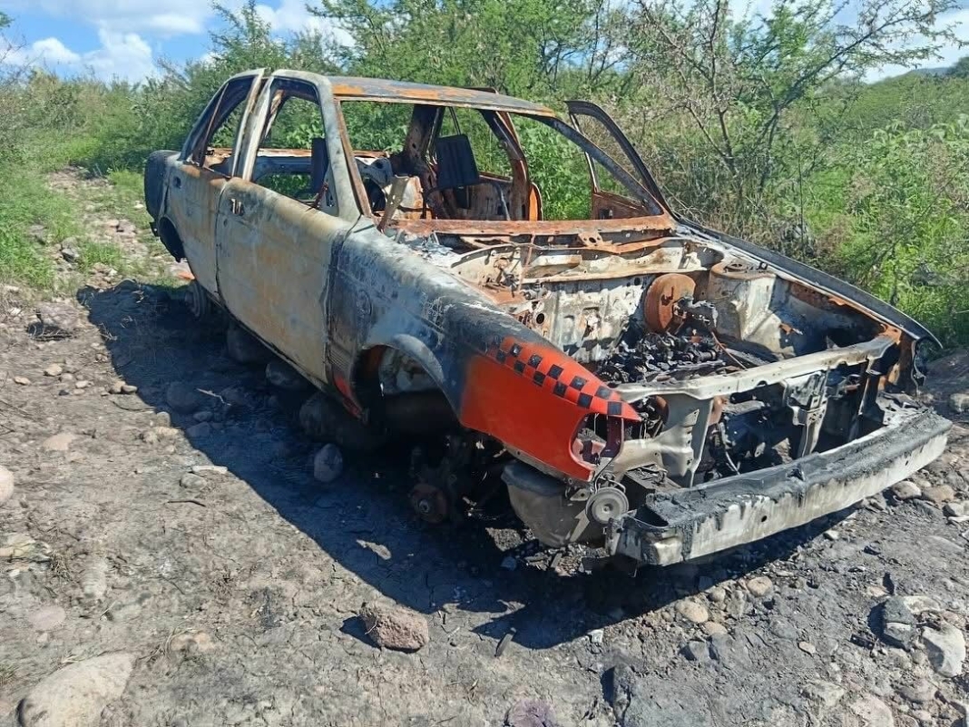 Borrador automático
