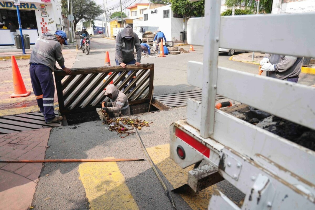 Borrador automático