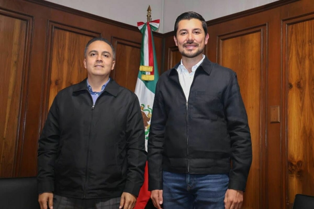 Borrador automático