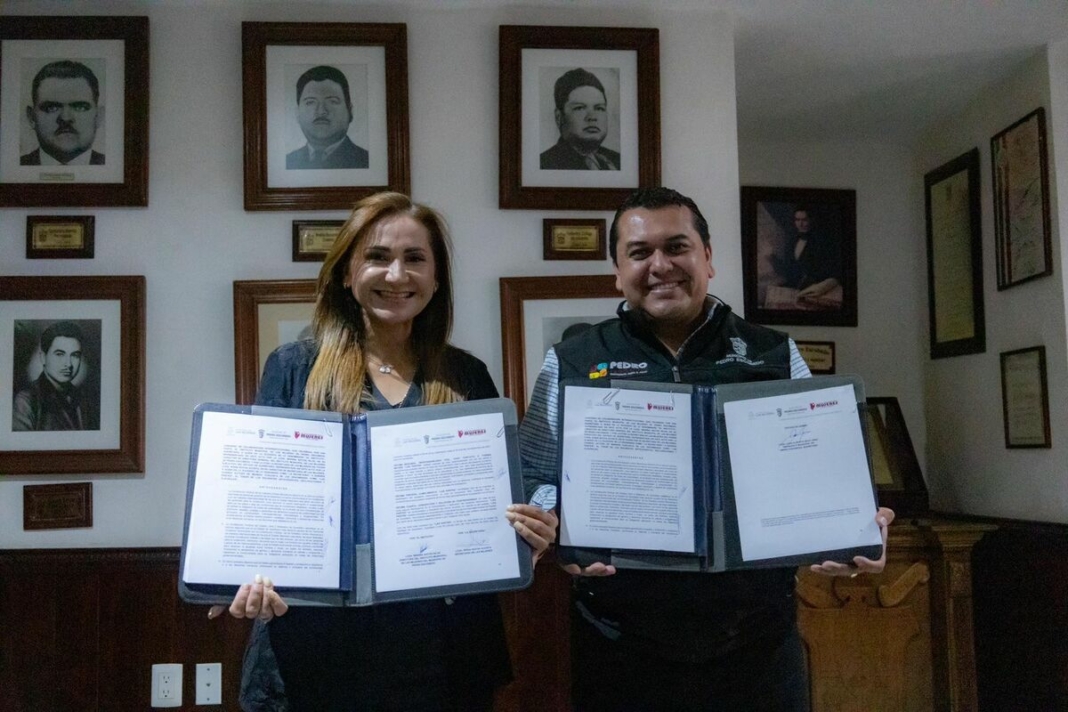 Borrador automático