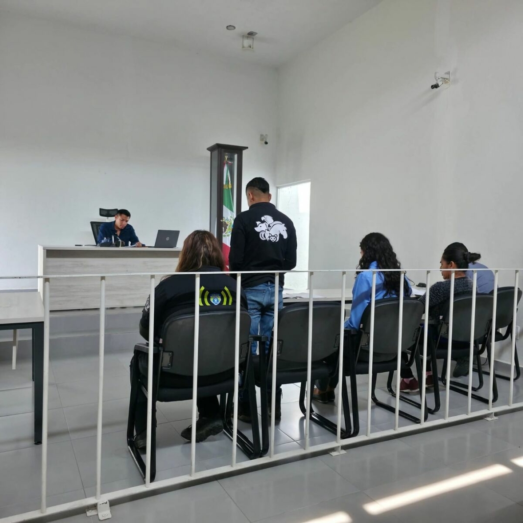 Borrador automático