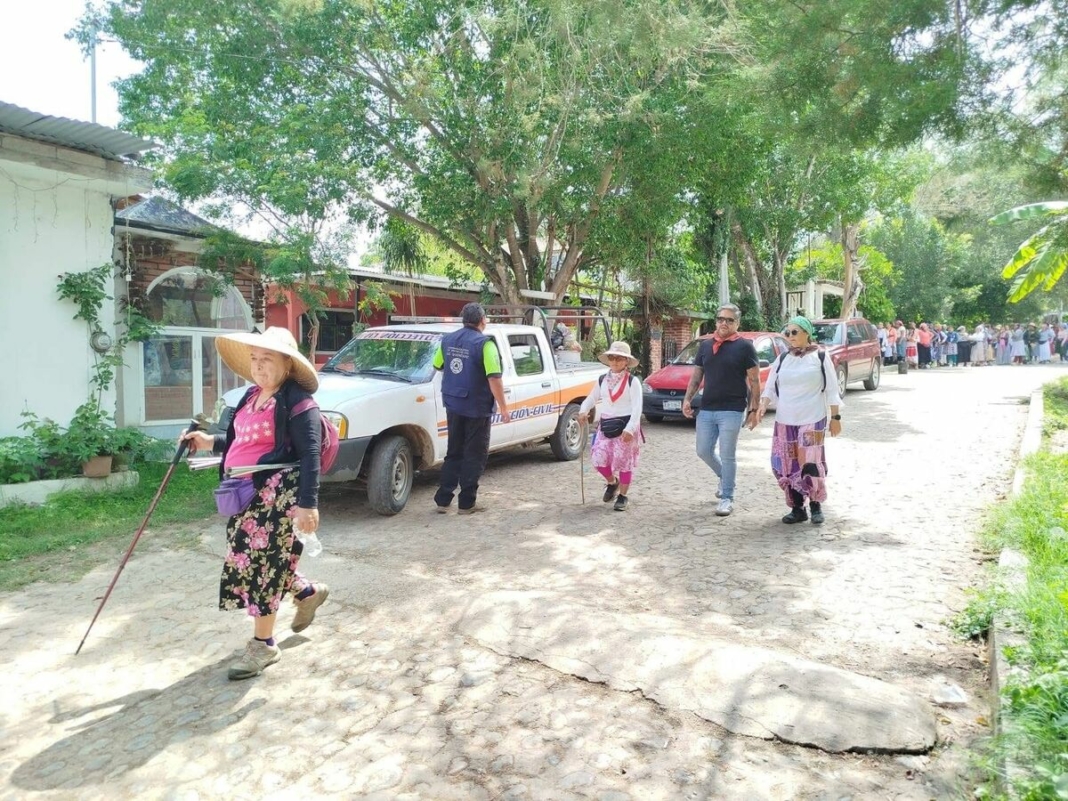 Borrador automático