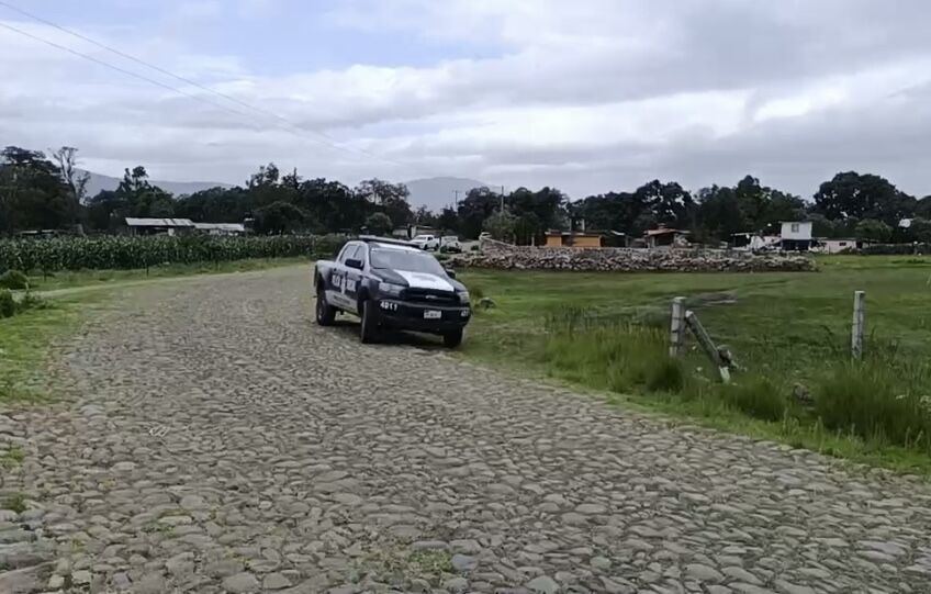 Borrador automático