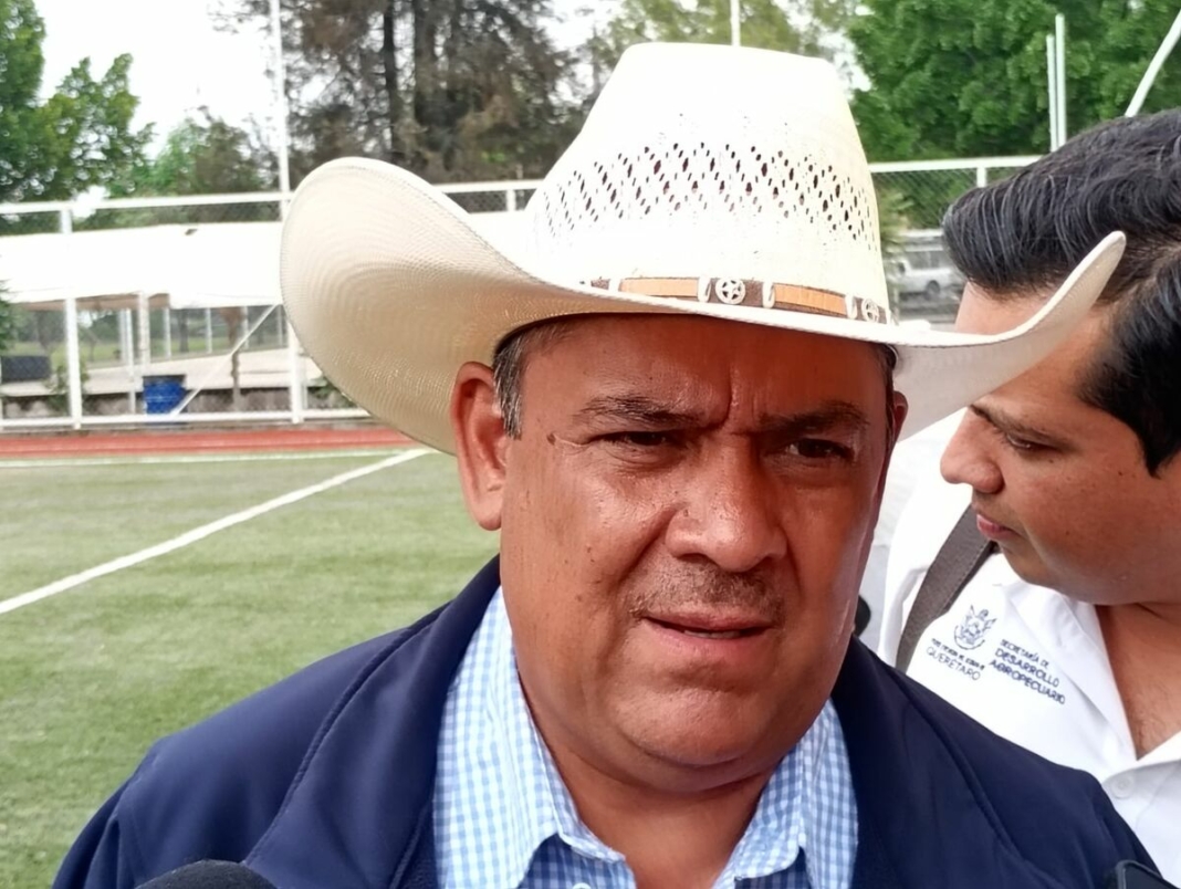 Preocupan posibles afectaciones por arancel al jitomate cherry: Querétaro analiza impacto en productores locales