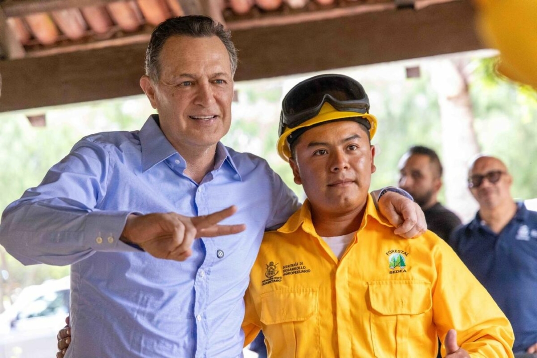 Borrador automático