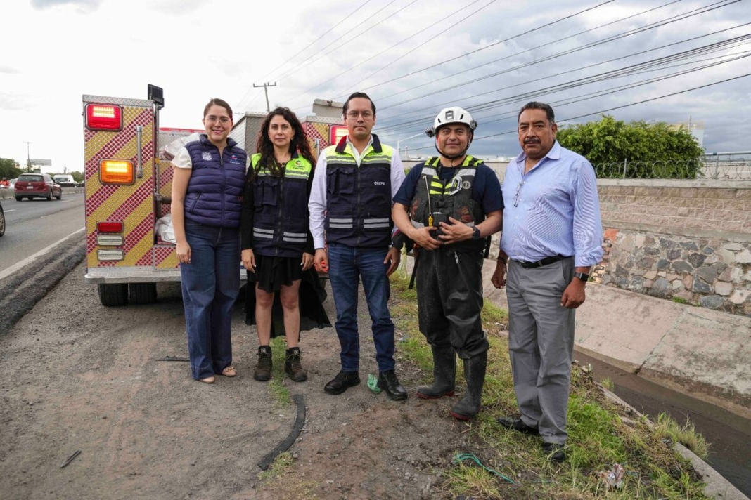 Borrador automático