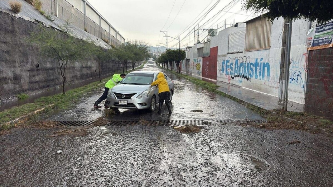 Borrador automático