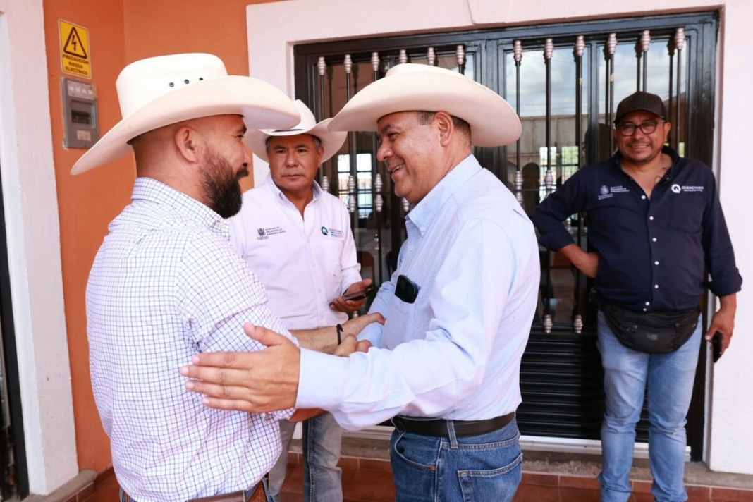 Borrador automático