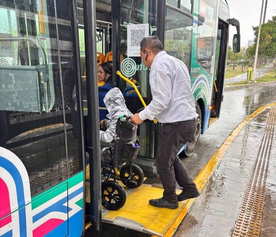 Borrador automático