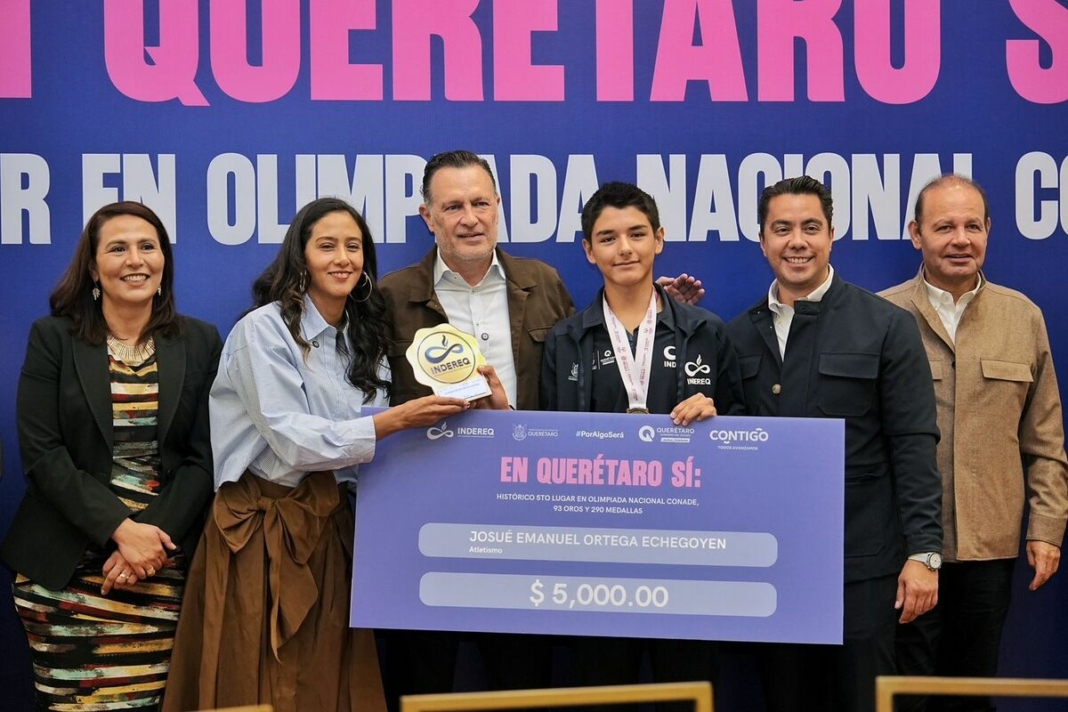 Borrador automático