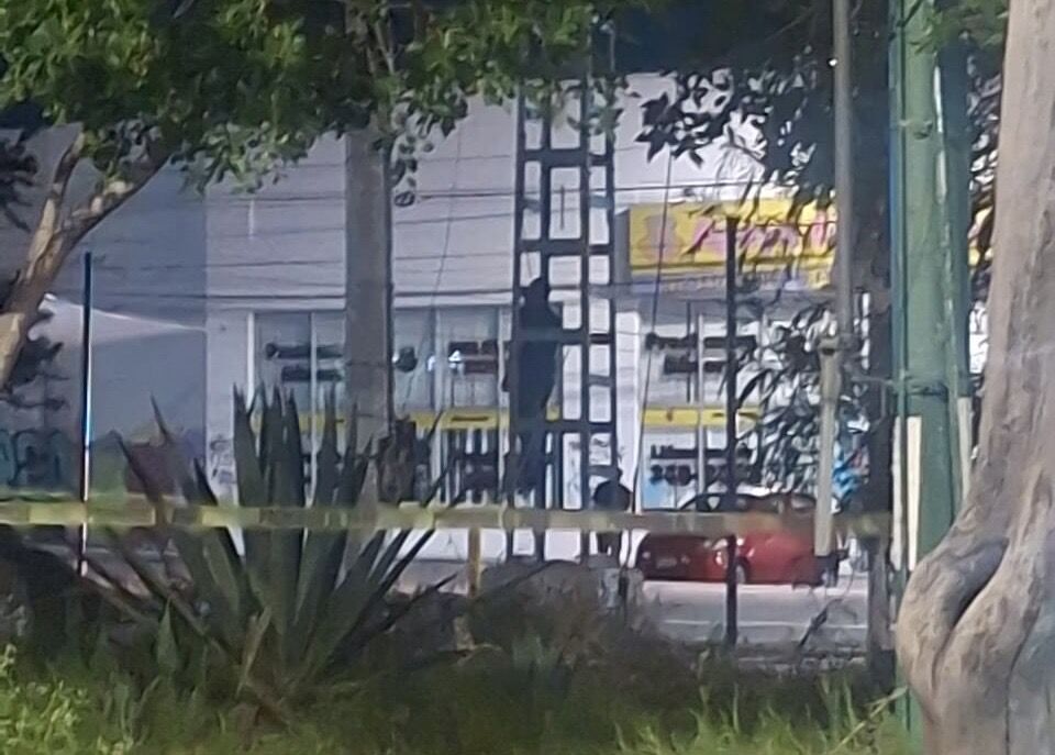 Borrador automático