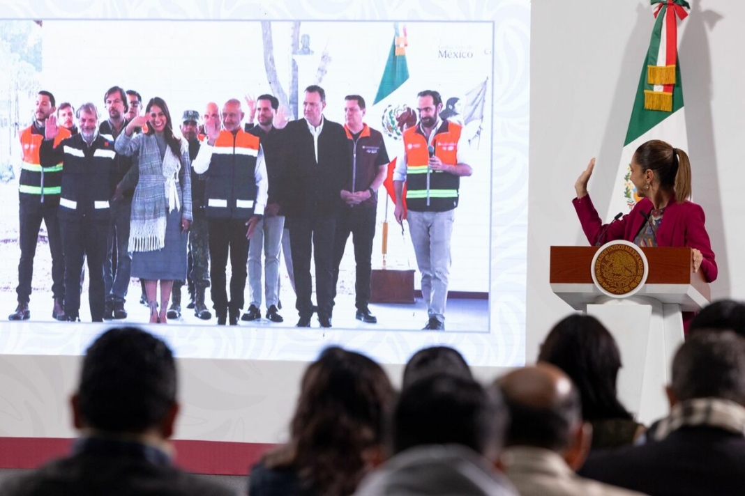 Borrador automático