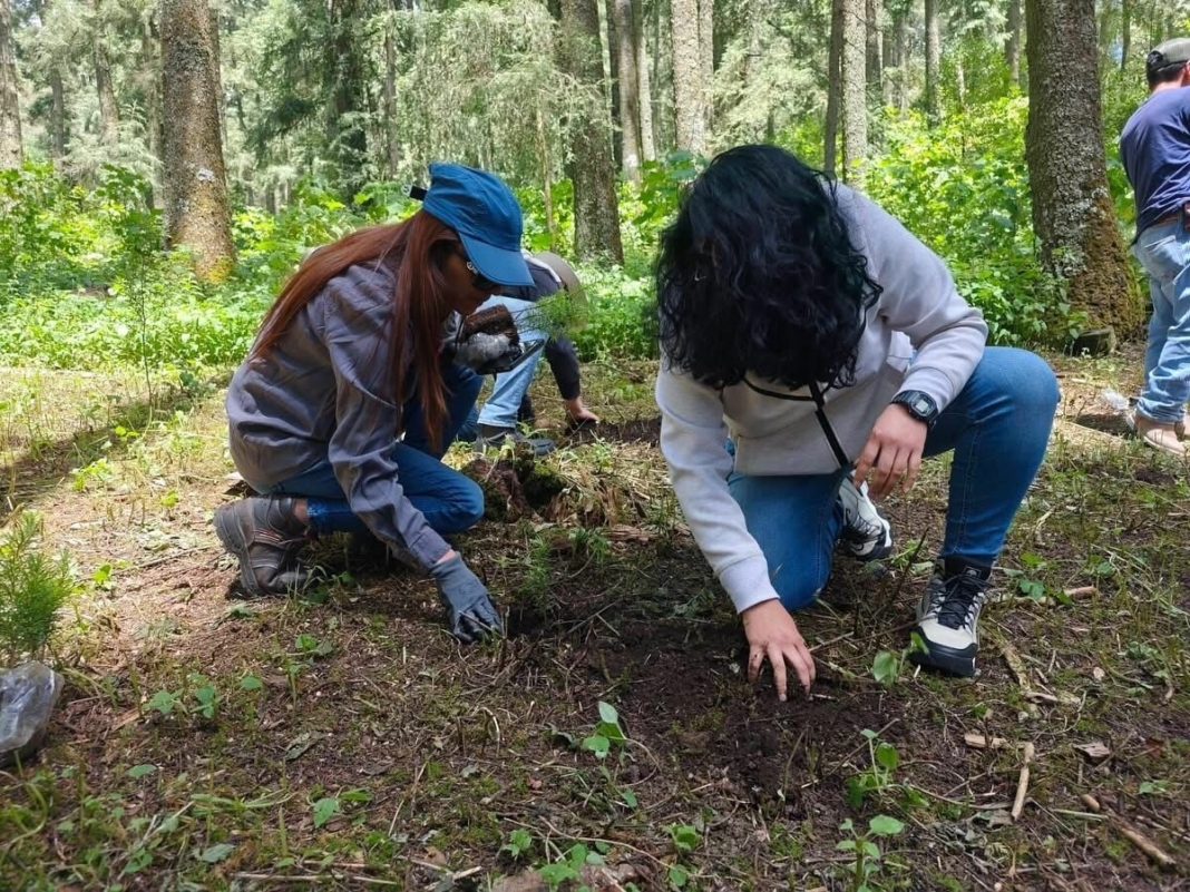 Querétaro protege más del 37% de su territorio mediante áreas naturales