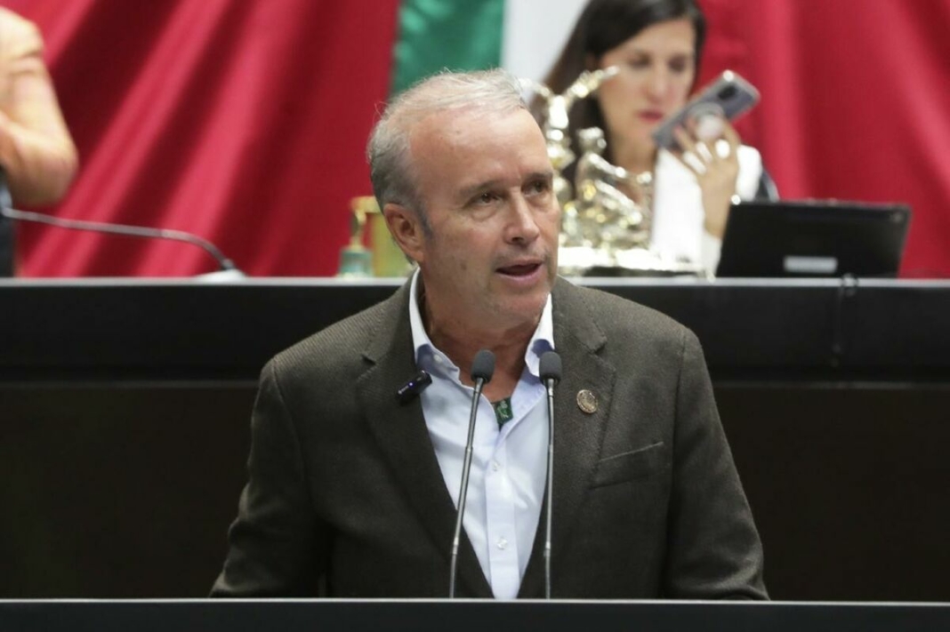 Borrador automático Borrador automático