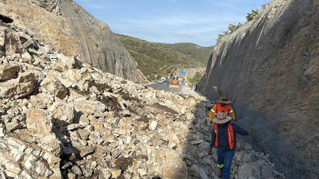 Borrador automático
