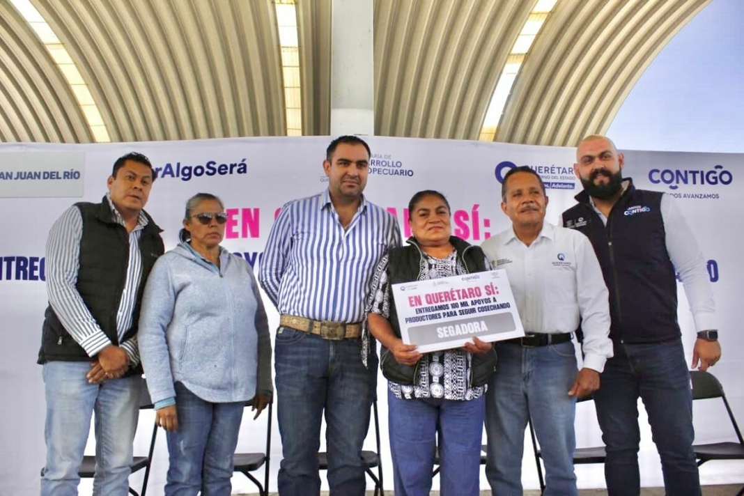 Borrador automático