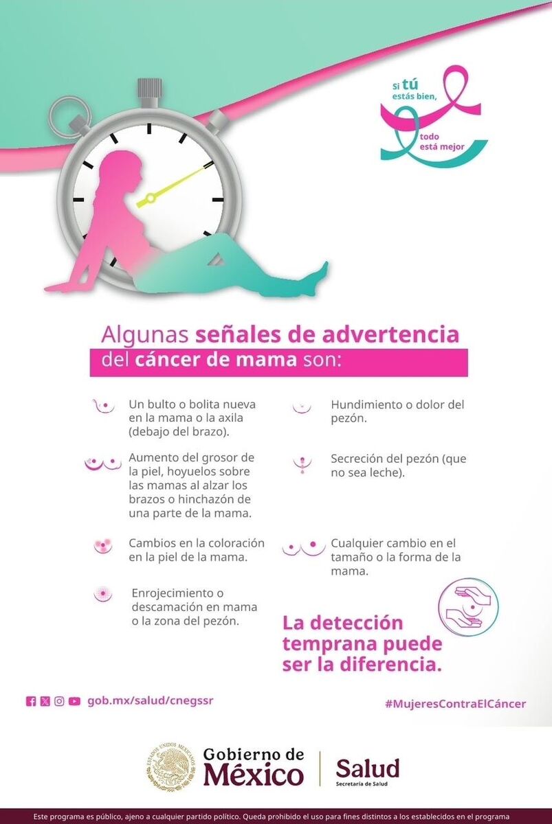 Borrador automático