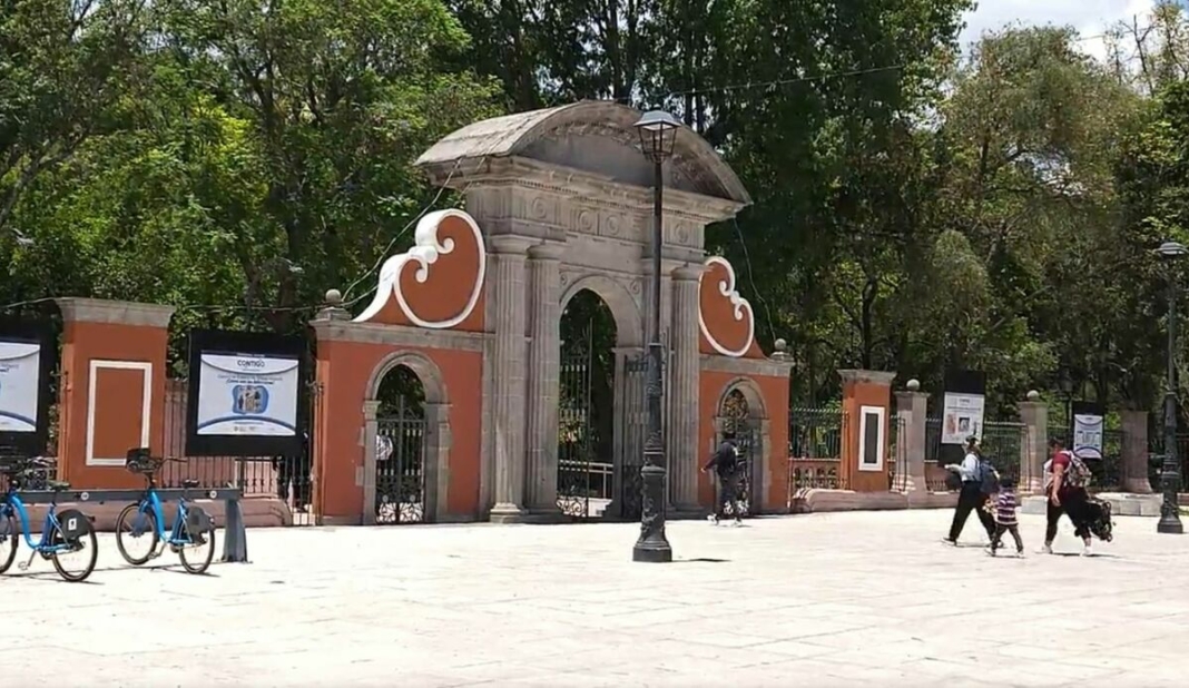 Inician acciones para exterminar el muérdago en la Alameda Hidalgo