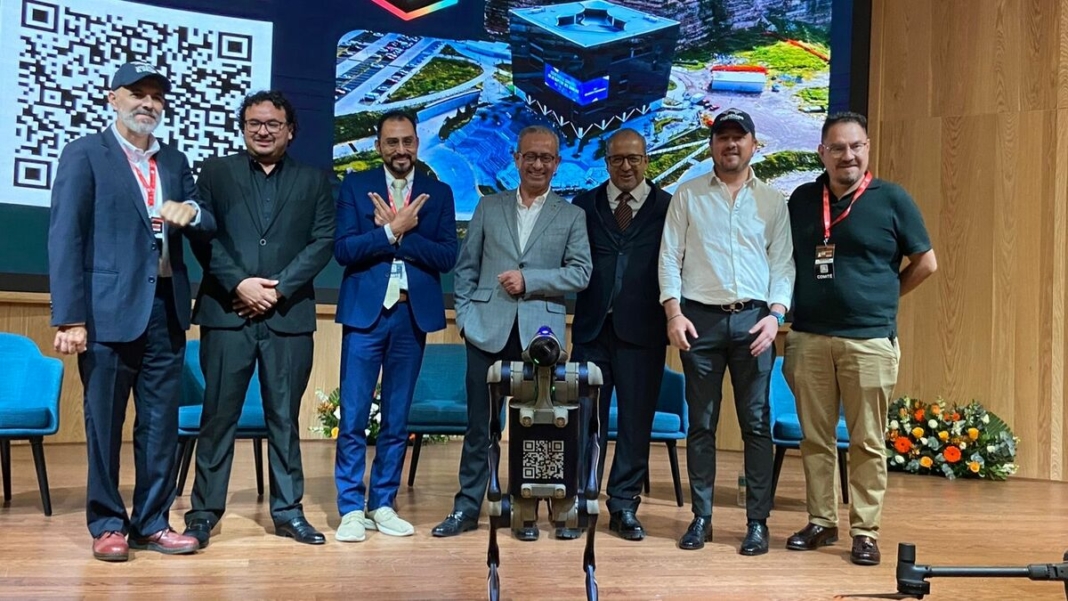 Borrador automático
