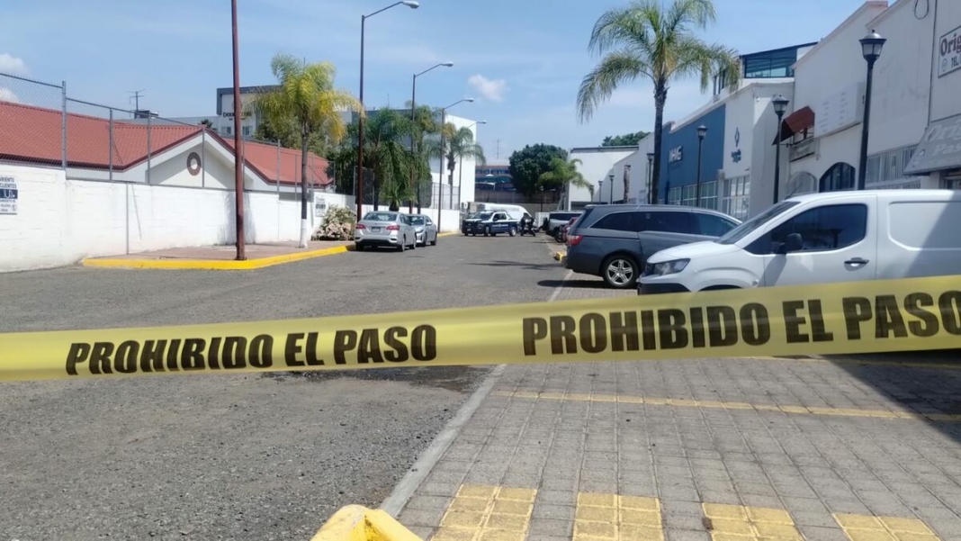 Borrador automático