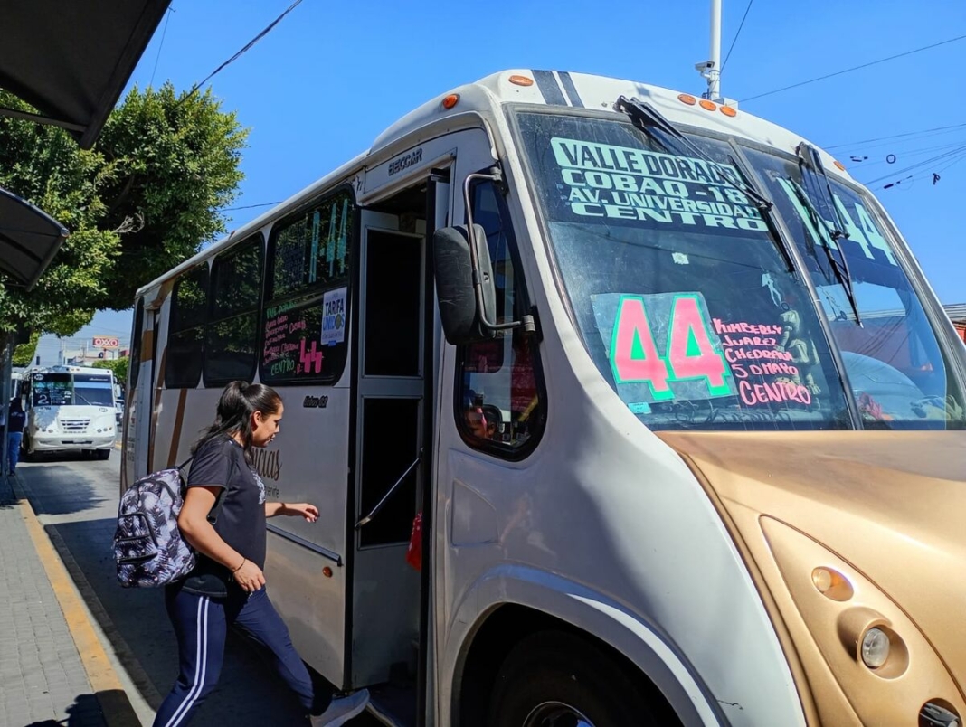 Borrador automático