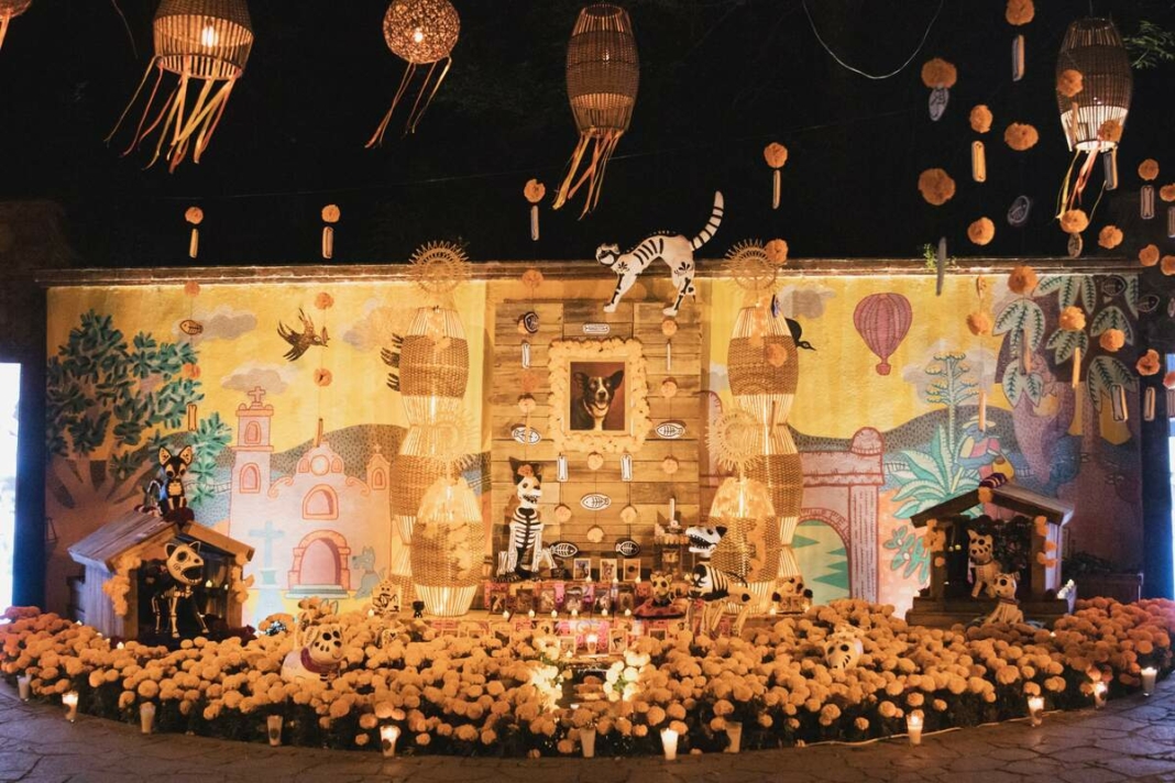 Borrador automático Borrador automático