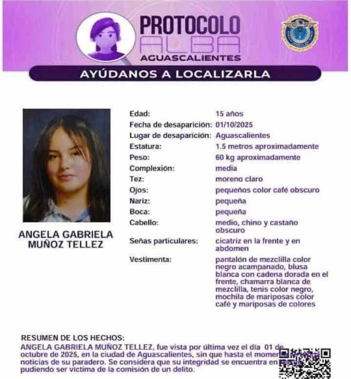 Borrador automático