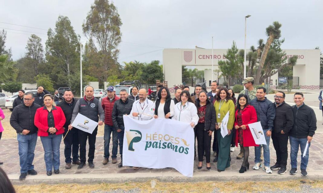 Borrador automático