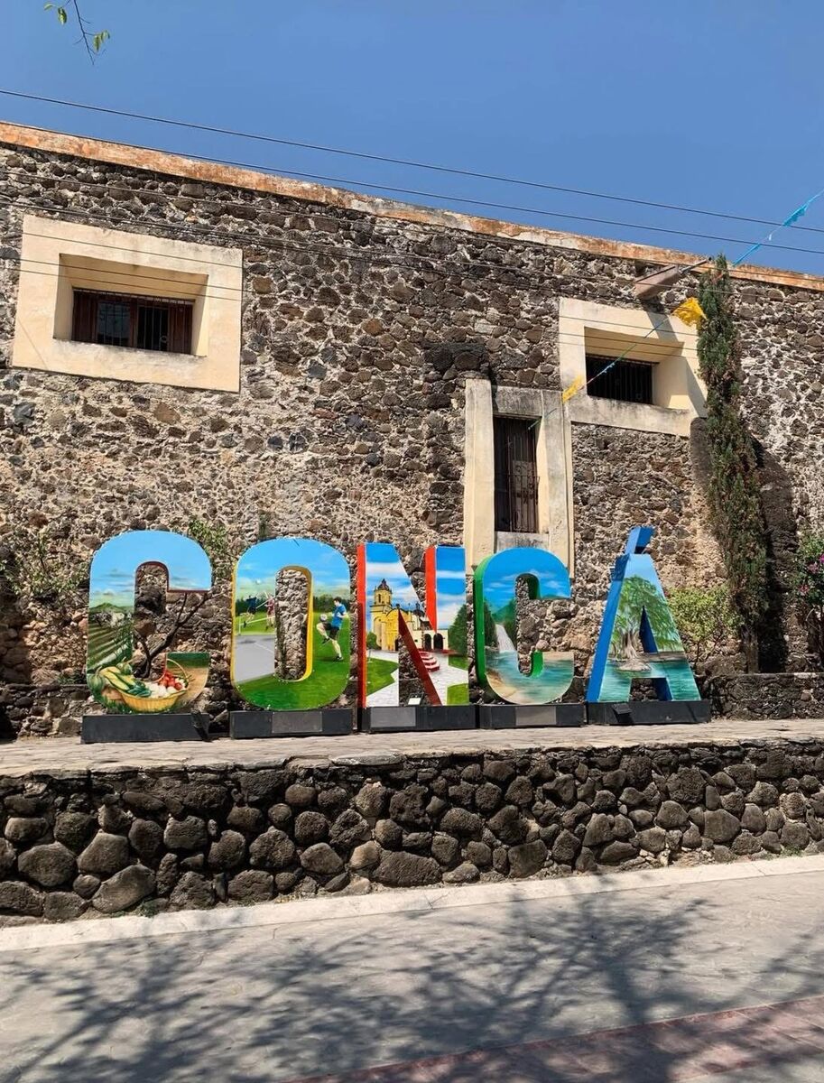 Borrador automático