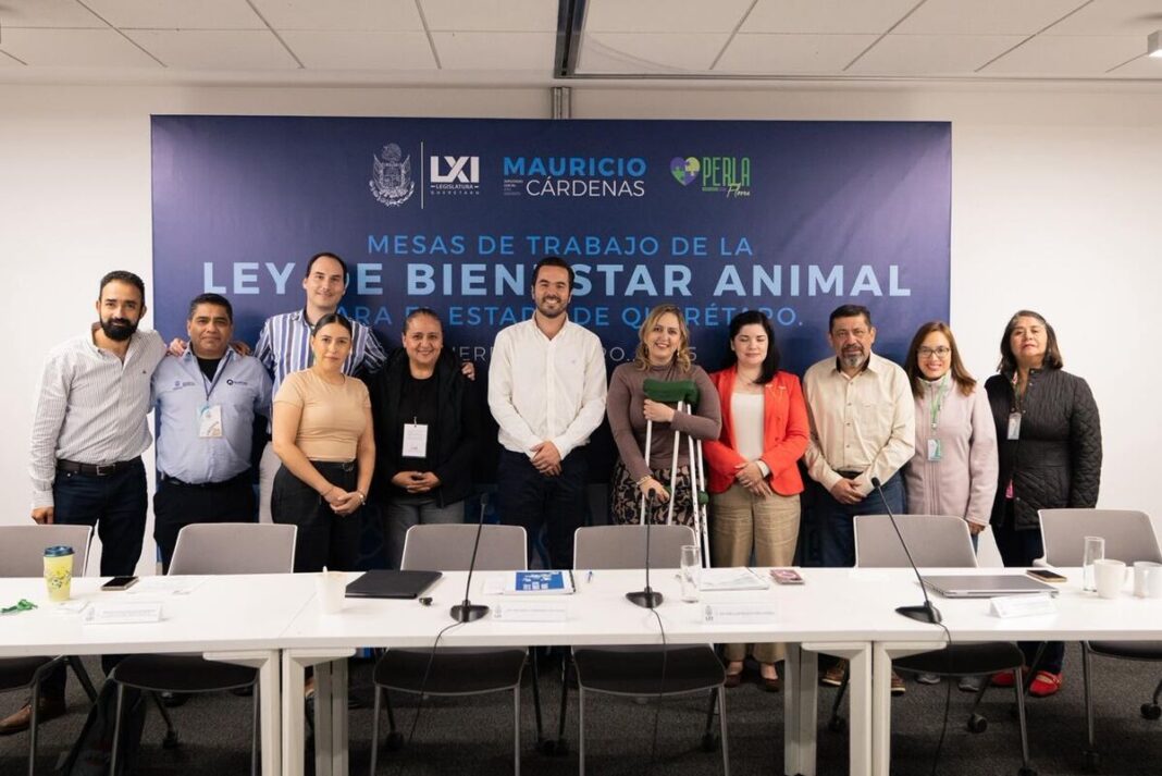 Borrador automático