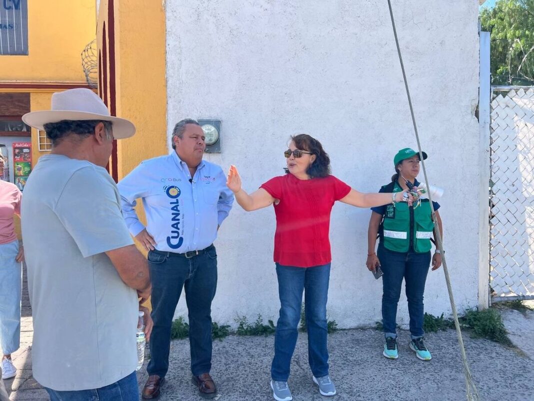 Borrador automático