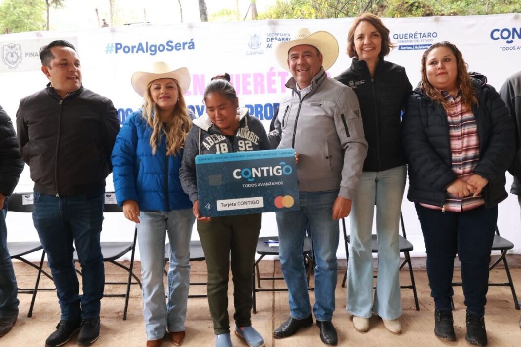 Borrador automático