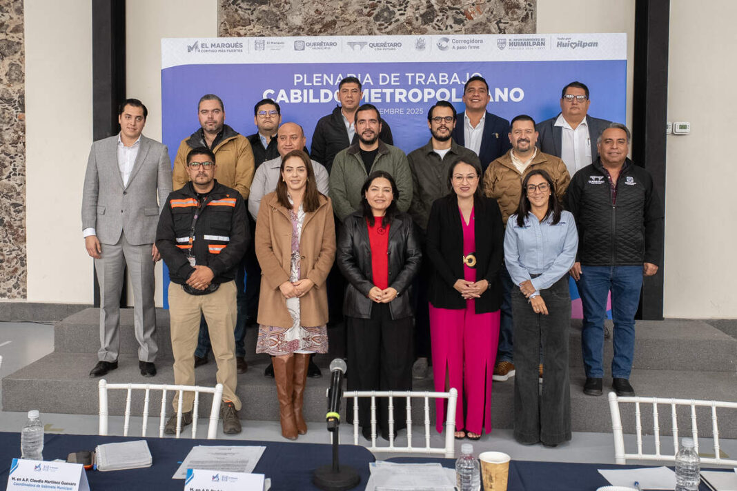 Borrador automático