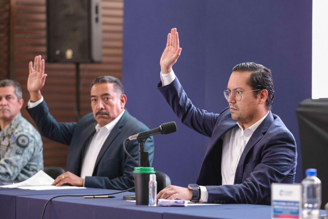 Borrador automático