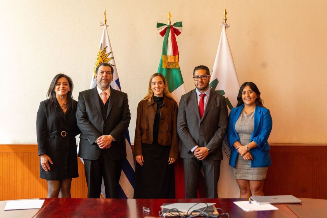 Borrador automático