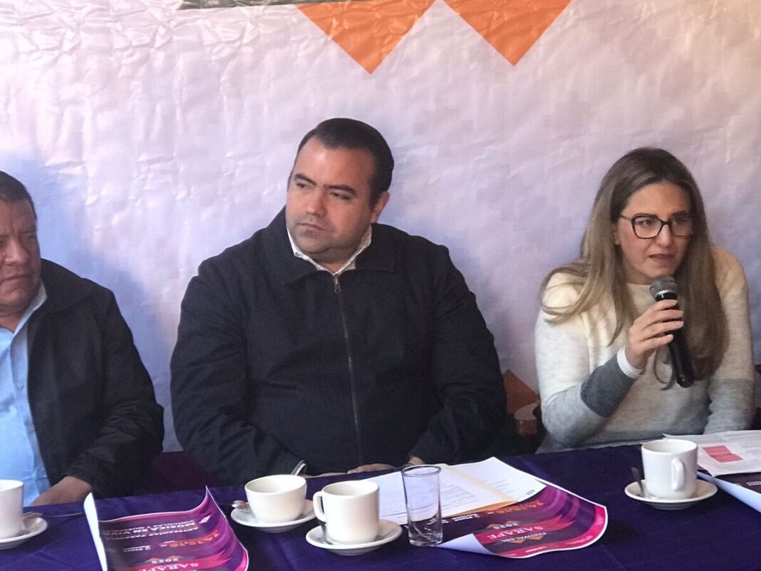 Borrador automático