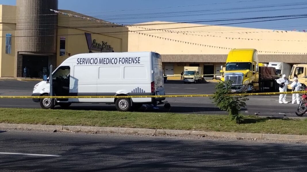 Borrador automático