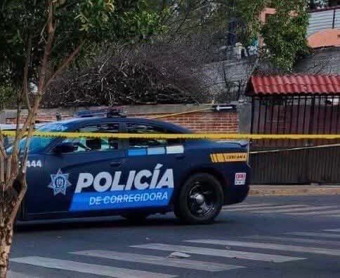 Borrador automático