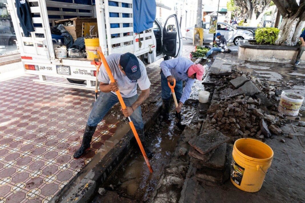 Borrador automático