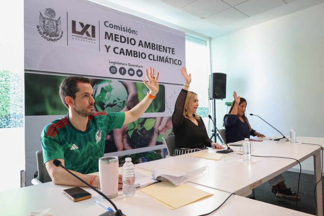 Borrador automático