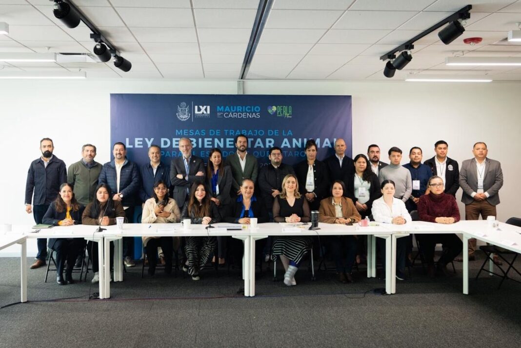 Borrador automático