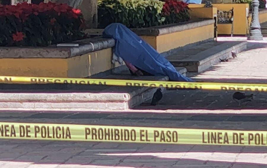 Borrador automático