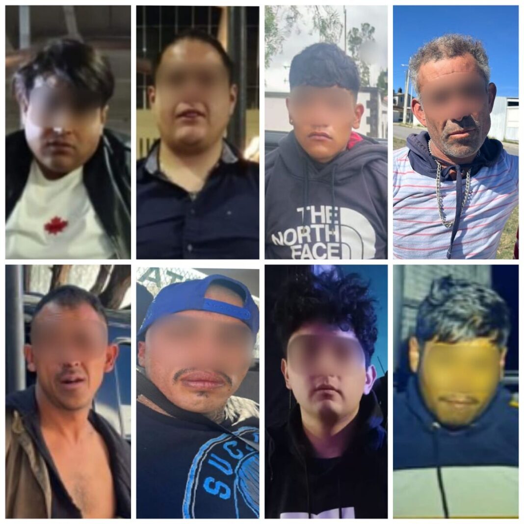 Borrador automático