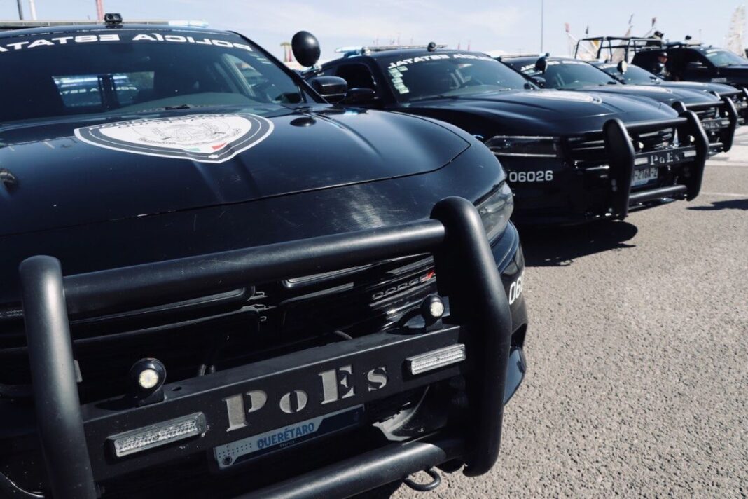 POES realiza 305 operativos y detiene a 255 personas durante noviembre Borrador automático