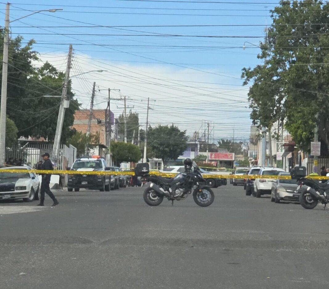 Borrador automático