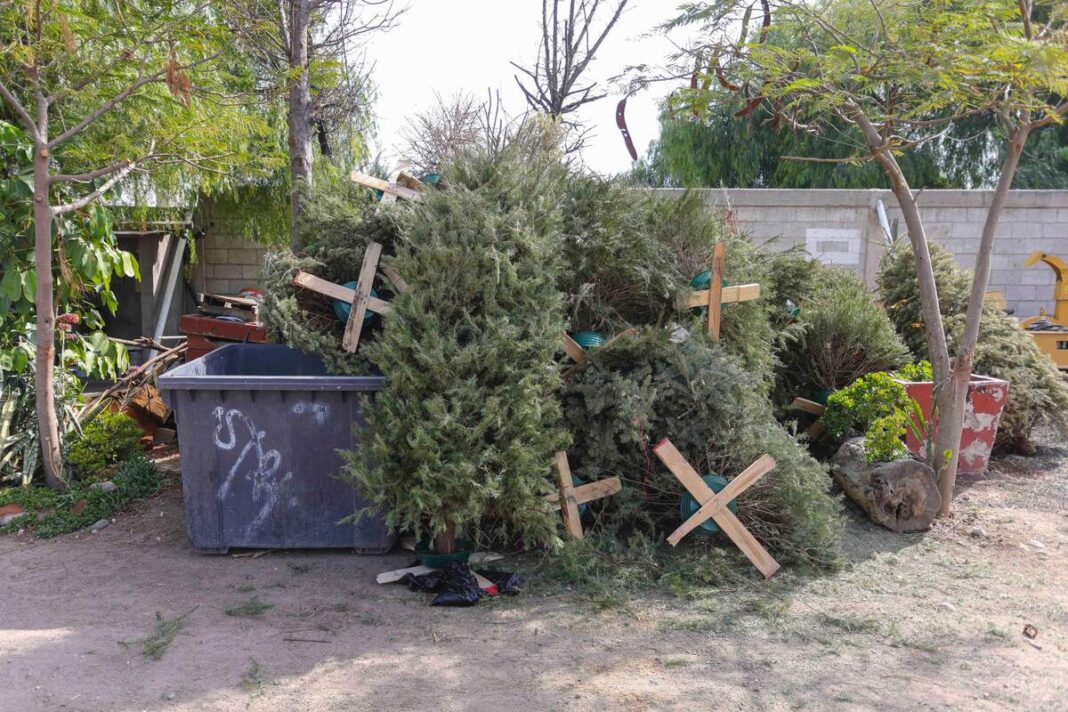 Borrador automático