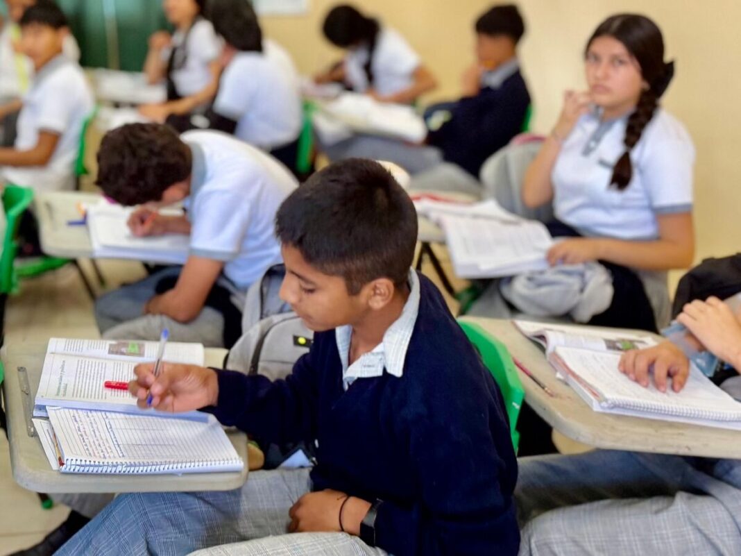 Borrador automático