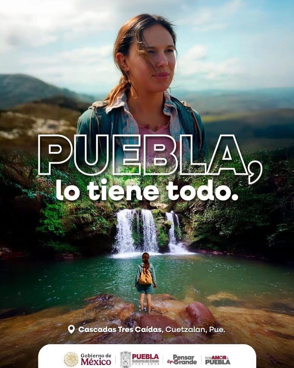 Borrador automático