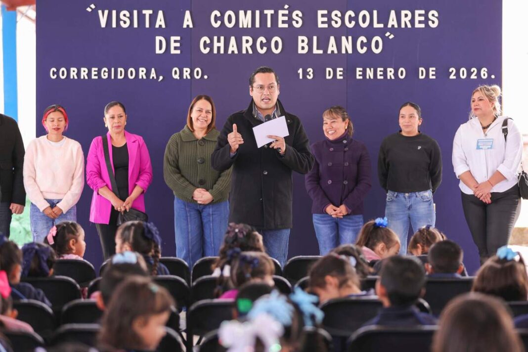 Borrador automático